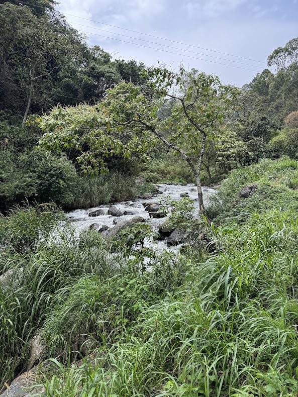 Volcán and Boquete, Panama